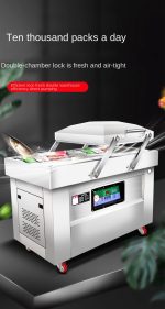 YGPACK DZQ-600RECESS Double Chamber Vacuum Sealer - Image 2